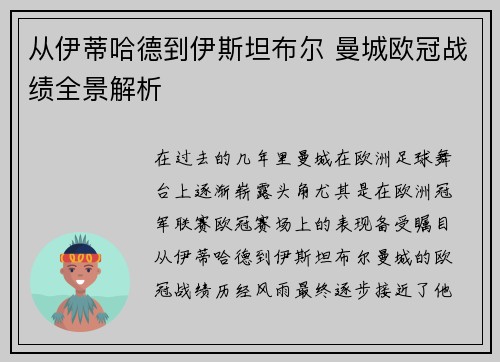 从伊蒂哈德到伊斯坦布尔 曼城欧冠战绩全景解析
