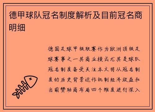 德甲球队冠名制度解析及目前冠名商明细