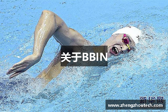 关于BBIN